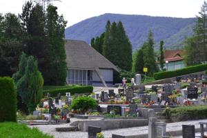 POKOPALIŠČE SLOVENSKE KONJICE (3)